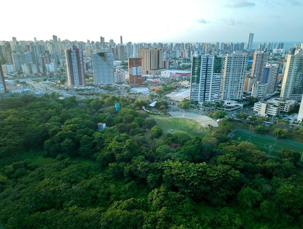 10 Secrets Indispensables pour Maximiser Votre Bien-être au Travail