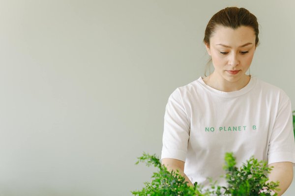 Rénovation d'ampleur : transformez votre habitat en éco-responsable